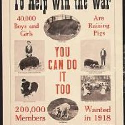 WW-I-Posters0107