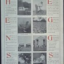 WW-I-Posters0132